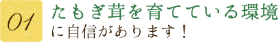 【その1】花咲タモギ茸を育てている環境に自身があります！