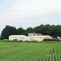 【その1】花咲タモギ茸を育てている環境に自身があります！