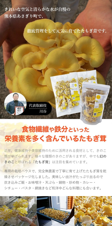 乾燥 花咲たもぎ茸100g | たもぎ茸で病気になりにくい健康体へ