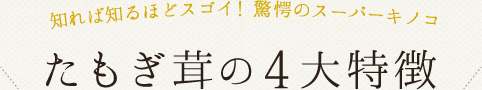知れば知るほどスゴイ！驚愕のスーパーキノコ たもぎ茸の4大特徴