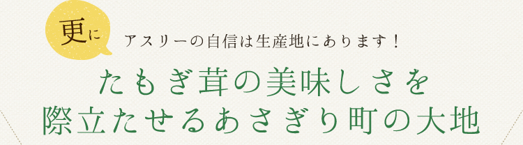 更にアスリーの自信は生産地にあります！ たもぎ茸の美味しさを際立たせるあさぎり町の大地