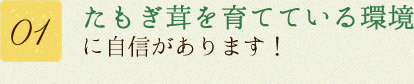 01.たもぎ茸を育てている環境に自信があります！