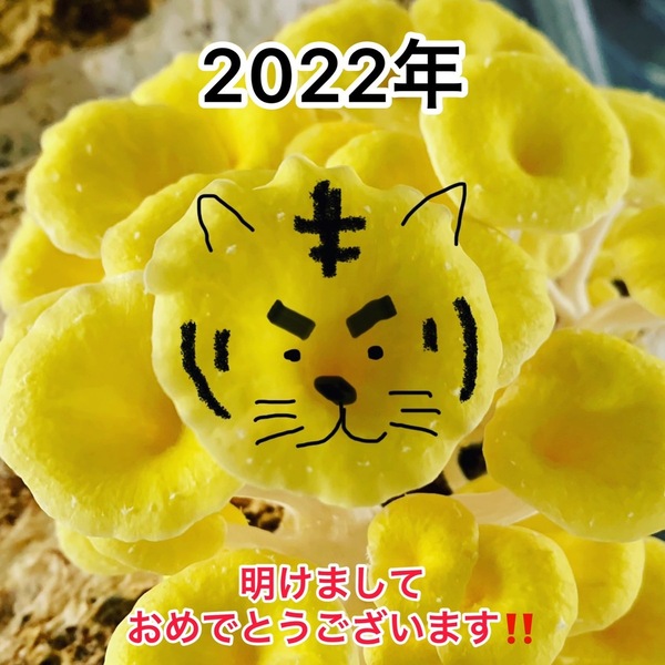 20221312200.jpg