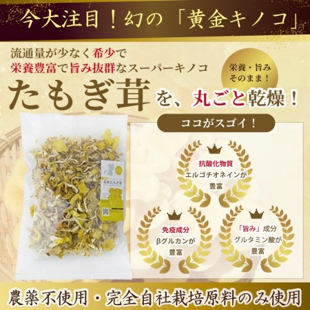 乾燥　花咲たもぎ茸100g