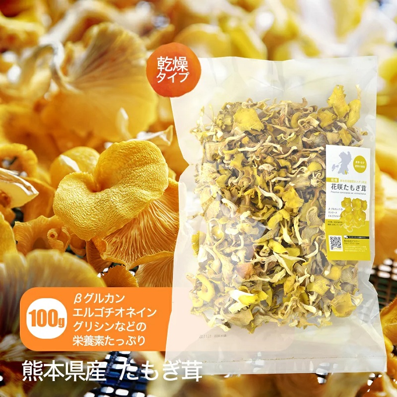 乾燥　花咲たもぎ茸100g