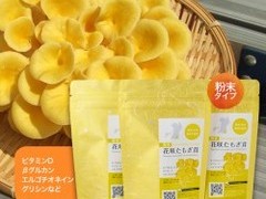 粉末　花咲たもぎ茸　3袋セット 