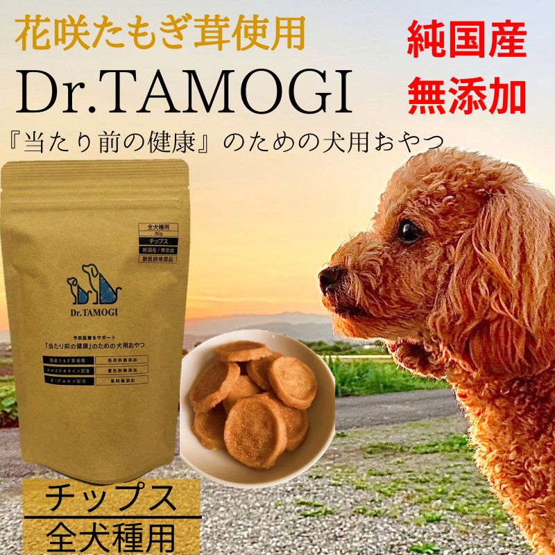 Dr.TAMOGI　 チップス