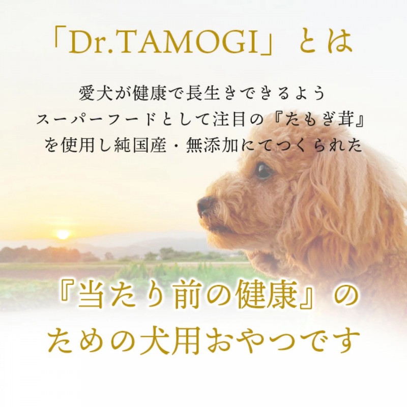 Dr.TAMOGI　 ふりかけ