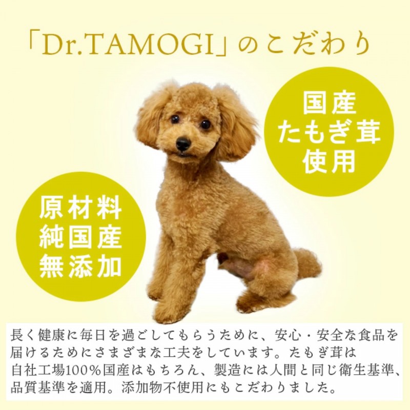 Dr.TAMOGI　 チップス